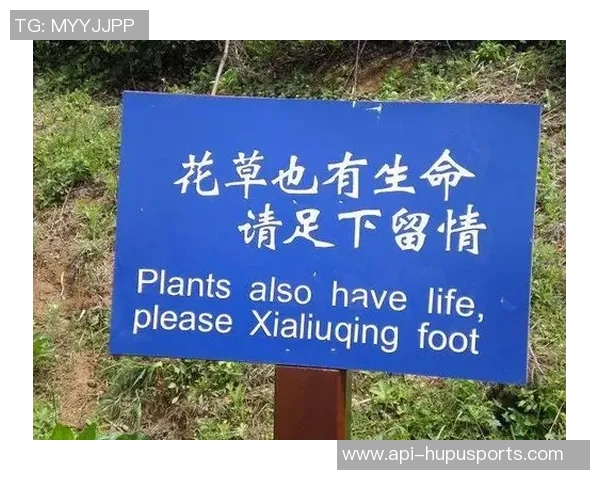 我们踢足球的英文翻译及相关表达方式的全面解析与应用 我们踢足球的英文翻译及相关表达方式的全面解析与应用